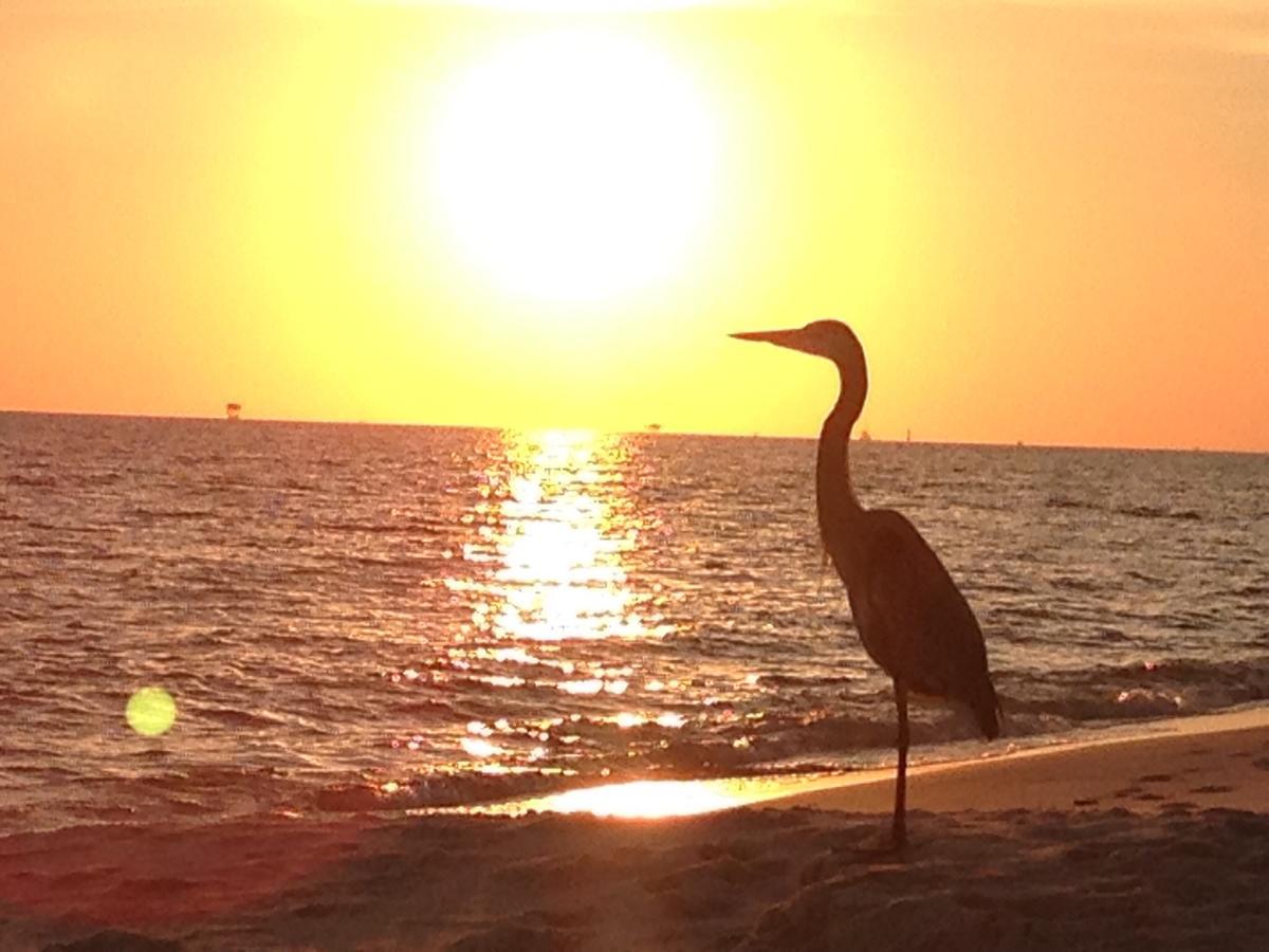Gulf Shores Plantation Luaran gambar